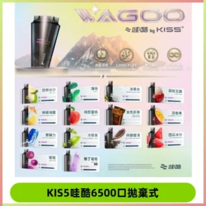 Kis5電子煙 Kiss拋棄式哇酷|WAGOO6500口一次性電子煙