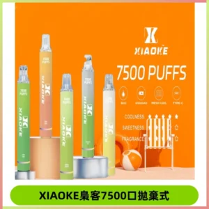 梟客XIAOKE|7500口可發光拋棄式電子煙 跑馬燈一次性